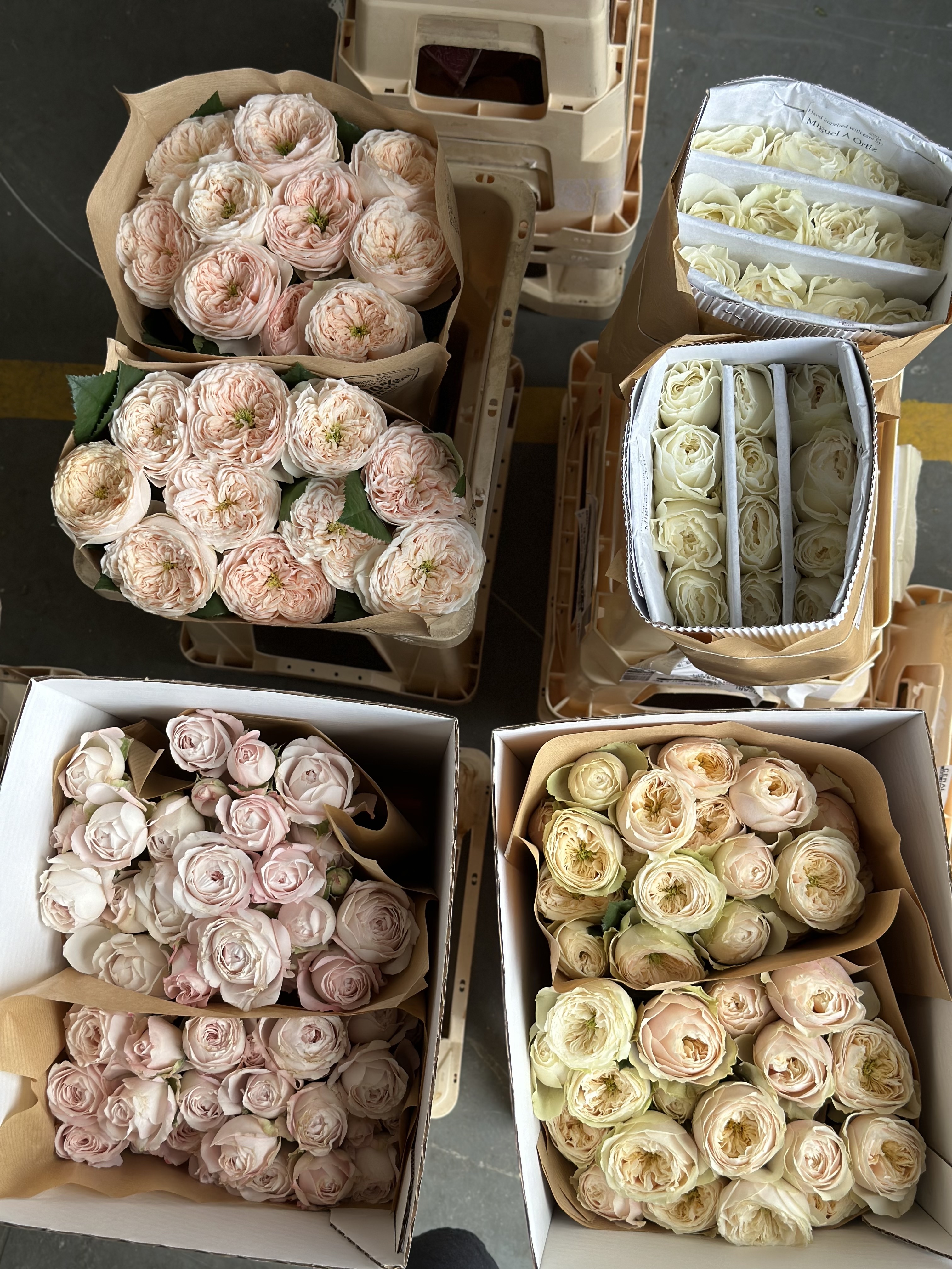 Când florile nu sunt la vedere, dar sunt exact unde trebuie